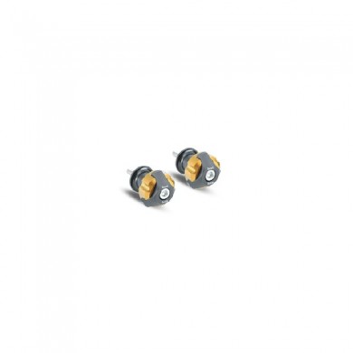 Kit nottolino forcellone per BN 251 e BN 302 Kit nottolino forcellone per BN 251 e BN 302