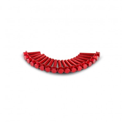 Kit Screews (Ergal Anodized) for BN 251 Kit Screews (Ergal Anodized) for BN 251