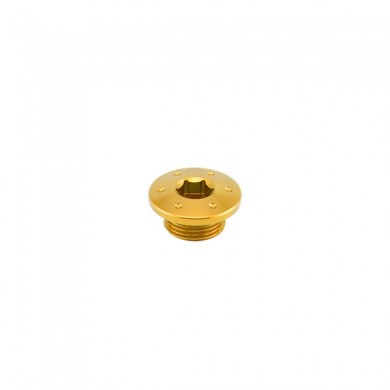 Oil Load Plug (Ergal Anodized) for BN 251 and BN 302 Oil Load Plug (Ergal Anodized) for BN 251 and BN 302